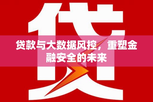 临沭贷款与大数据风控，重塑金融安全的未来