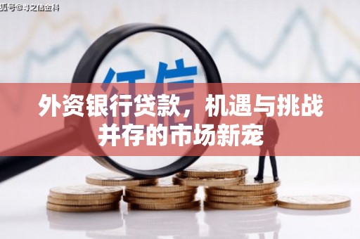 临沭外资银行贷款，机遇与挑战并存的市场新宠