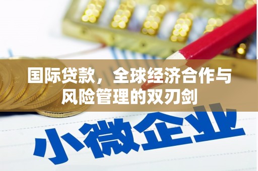 临沭国际贷款，全球经济合作与风险管理的双刃剑