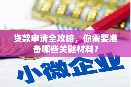临沭贷款申请全攻略，你需要准备哪些关键材料？