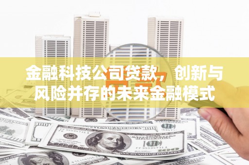 临沭金融科技公司贷款，创新与风险并存的未来金融模式
