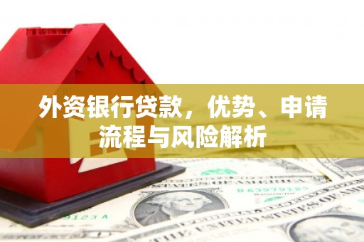 临沭外资银行贷款，优势、申请流程与风险解析