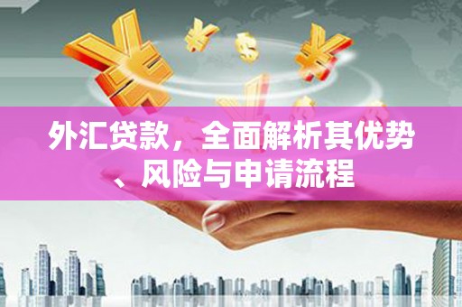 临沭外汇贷款，全面解析其优势、风险与申请流程