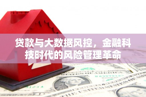 临沭贷款与大数据风控，金融科技时代的风险管理革命