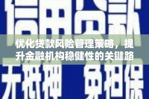 临沭优化贷款风险管理策略，提升金融机构稳健性的关键路径