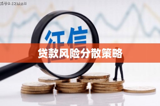 临沭贷款风险分散策略
