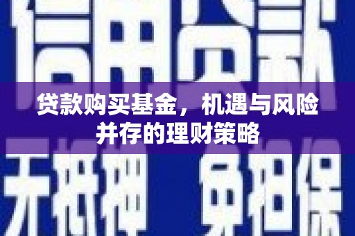 临沭贷款购买基金，机遇与风险并存的理财策略