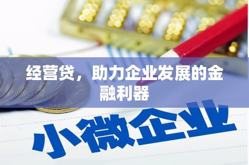 临沭经营贷，助力企业发展的金融利器