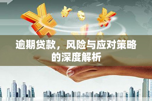 临沭逾期贷款，风险与应对策略的深度解析