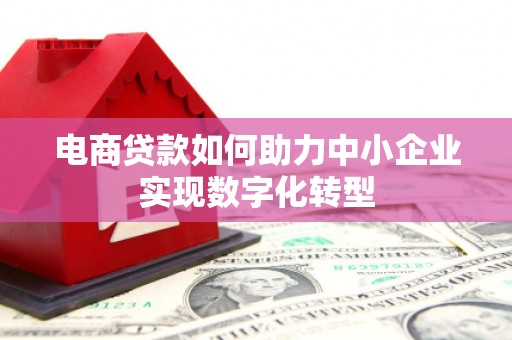 临沭电商贷款如何助力中小企业实现数字化转型