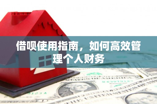 临沭借呗使用指南，如何高效管理个人财务