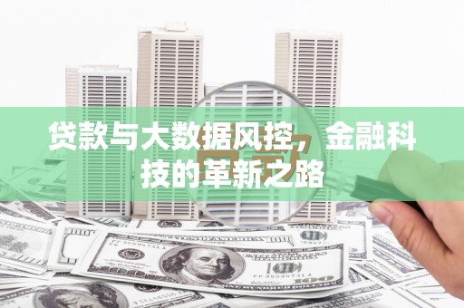 临沭贷款与大数据风控，金融科技的革新之路