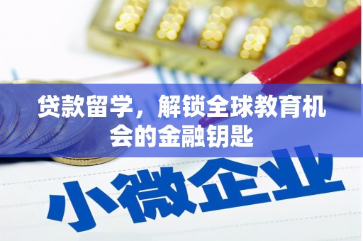 临沭贷款留学，解锁全球教育机会的金融钥匙