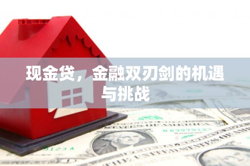临沭现金贷，金融双刃剑的机遇与挑战