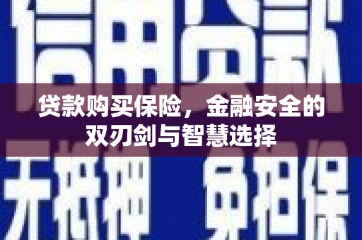 临沭贷款购买保险，金融安全的双刃剑与智慧选择