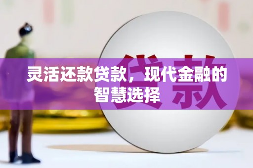 临沭灵活还款贷款，现代金融的智慧选择