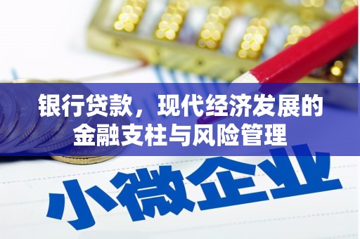 临沭银行贷款，现代经济发展的金融支柱与风险管理