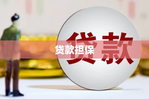 临沭贷款担保