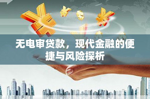 临沭无电审贷款，现代金融的便捷与风险探析