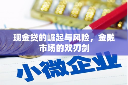 临沭现金贷的崛起与风险，金融市场的双刃剑