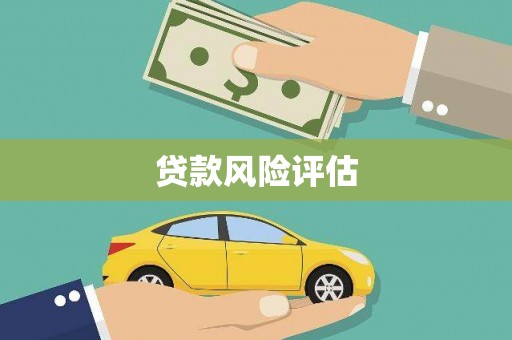 临沭贷款风险评估