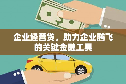 临沭企业经营贷，助力企业腾飞的关键金融工具