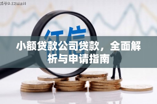 临沭小额贷款公司贷款，全面解析与申请指南