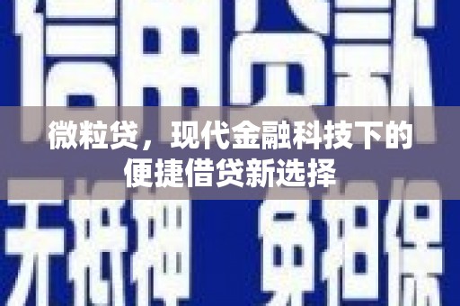 临沭微粒贷，现代金融科技下的便捷借贷新选择