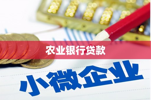 临沭农业银行贷款