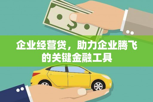 临沭企业经营贷，助力企业腾飞的关键金融工具