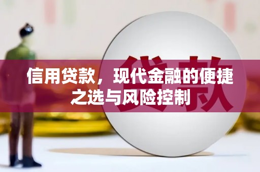 临沭信用贷款，现代金融的便捷之选与风险控制