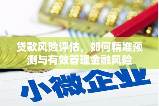 临沭贷款风险评估，如何精准预测与有效管理金融风险