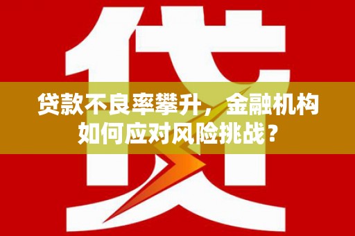 临沭贷款不良率攀升，金融机构如何应对风险挑战？