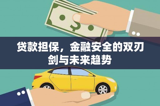 临沭贷款担保，金融安全的双刃剑与未来趋势