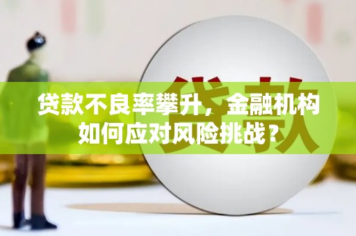 临沭贷款不良率攀升，金融机构如何应对风险挑战？