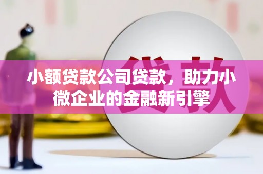 临沭小额贷款公司贷款，助力小微企业的金融新引擎