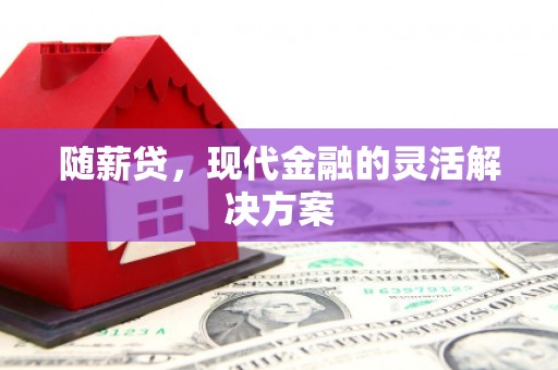临沭随薪贷，现代金融的灵活解决方案