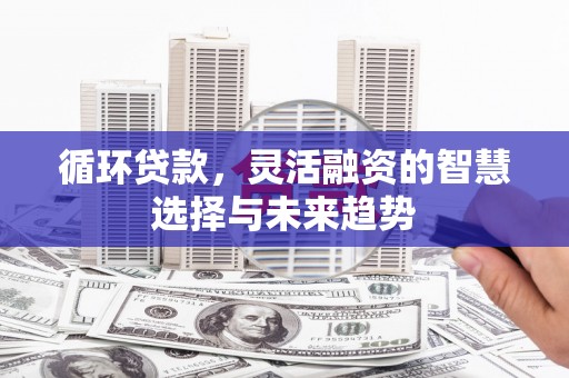 临沭循环贷款，灵活融资的智慧选择与未来趋势