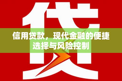 临沭信用贷款，现代金融的便捷选择与风险控制