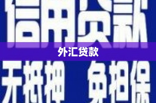 临沭外汇贷款