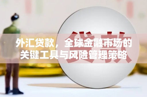 临沭外汇贷款，全球金融市场的关键工具与风险管理策略
