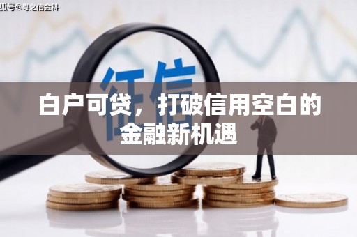 临沭白户可贷，打破信用空白的金融新机遇