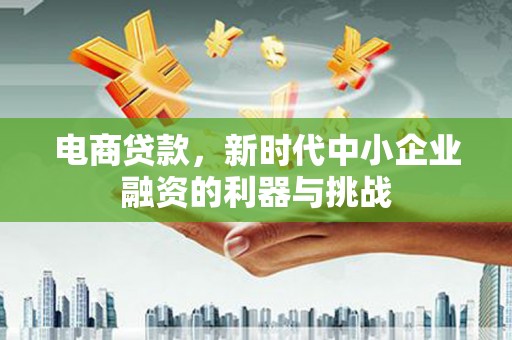 临沭电商贷款，新时代中小企业融资的利器与挑战