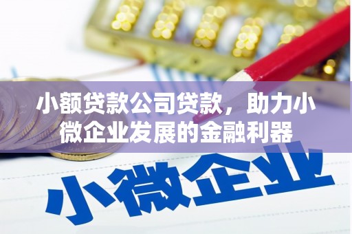 临沭小额贷款公司贷款，助力小微企业发展的金融利器