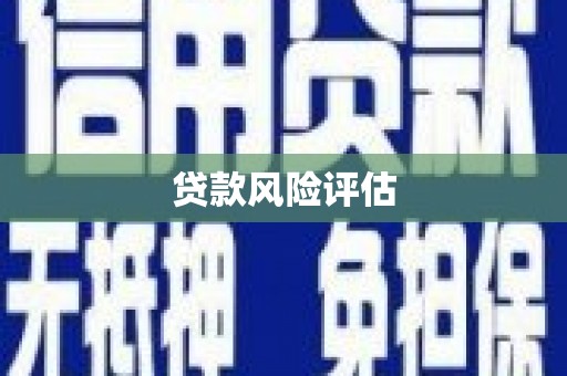 临沭贷款风险评估