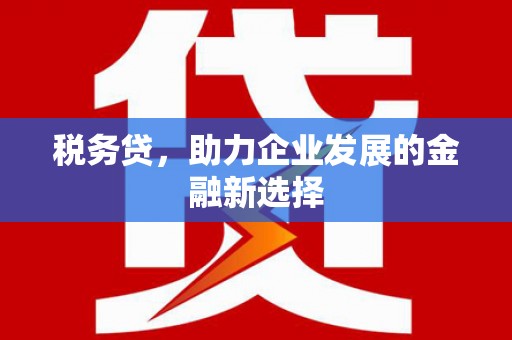 临沭税务贷，助力企业发展的金融新选择
