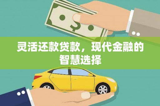临沭灵活还款贷款，现代金融的智慧选择