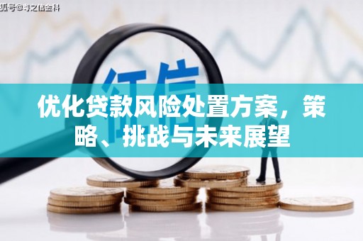 临沭优化贷款风险处置方案，策略、挑战与未来展望