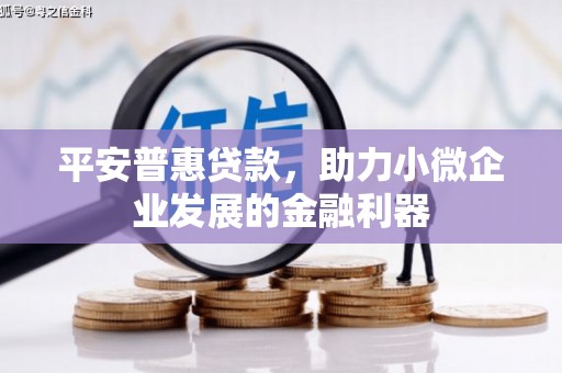 临沭平安普惠贷款，助力小微企业发展的金融利器