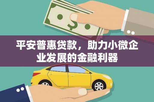 临沭平安普惠贷款，助力小微企业发展的金融利器